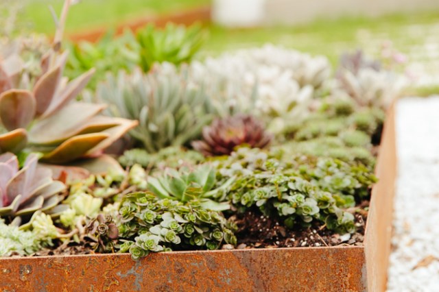 Home by McCown Design