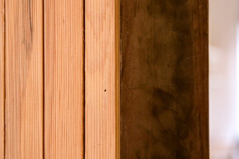 Image Not Found On Media Library